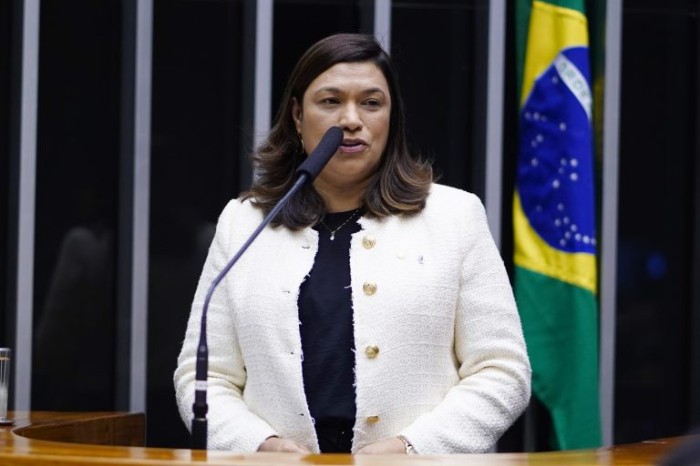 Maria Rosas, autora do projeto de lei - (Foto: Pablo Valadares/Câmara dos Deputados)