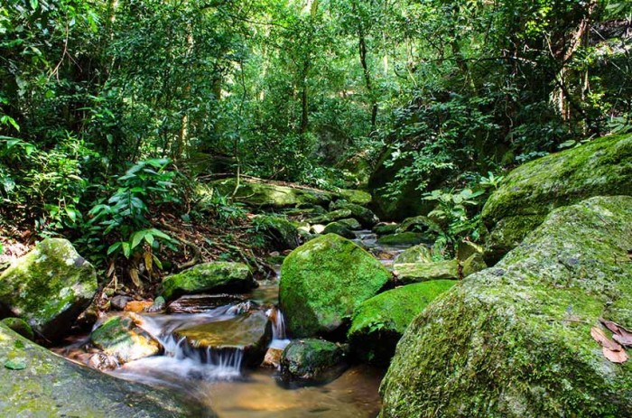 Sancionada pelo presidente da República, lei reforça destinação de recursos para o Fundo Nacional de Meio Ambiente e para o Fundo Nacional para Calamidades Públicas - Foto: Beto_Junior/Istockphoto