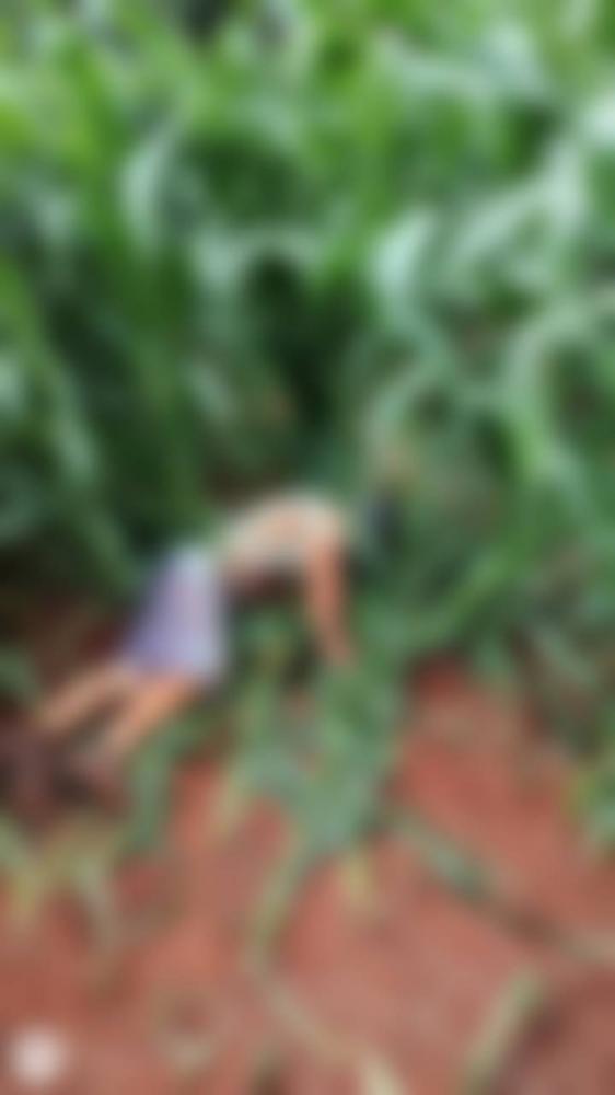 Homem foi encontrado morto em meio a uma lavoura de milho (Foto: Jornal Província/Especial/Enviada por leitor)) 