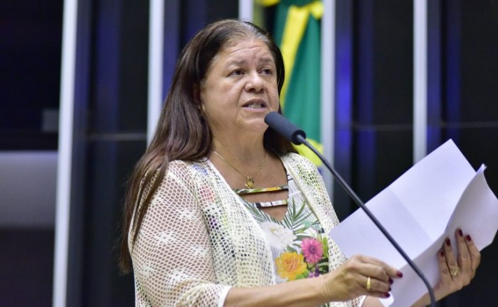 Laura Carneiro: fixação do prazo prestigia os princípios do ECA - (Foto: Zeca Ribeiro / Câmara dos Deputados)