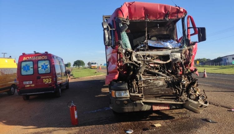 Veículo de transporte de suínos que era conduzido por Ricardo Antunes Diel (Foto: Divulgação/Corpo de Bombeiros)