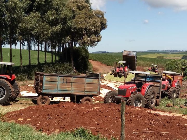 Trabalho de fabricação de silagem está sendo realizada em Vista Gaúcha (Foto: Divulgação/A Verdade)