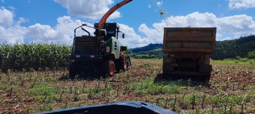 Máquina de silagem do município tem auxiliado os produtores do município (Foto: Prefeitura de Vista Gaúcha)