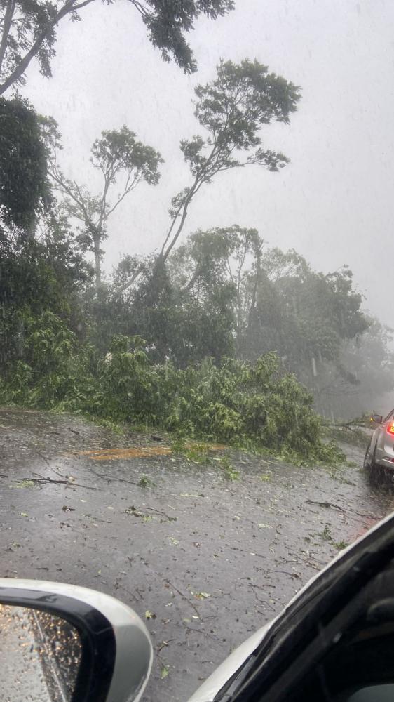 Galhos e árvores na pista atrapalharam o trânsito na RSC-472 (Foto: Recebido de Internauta)