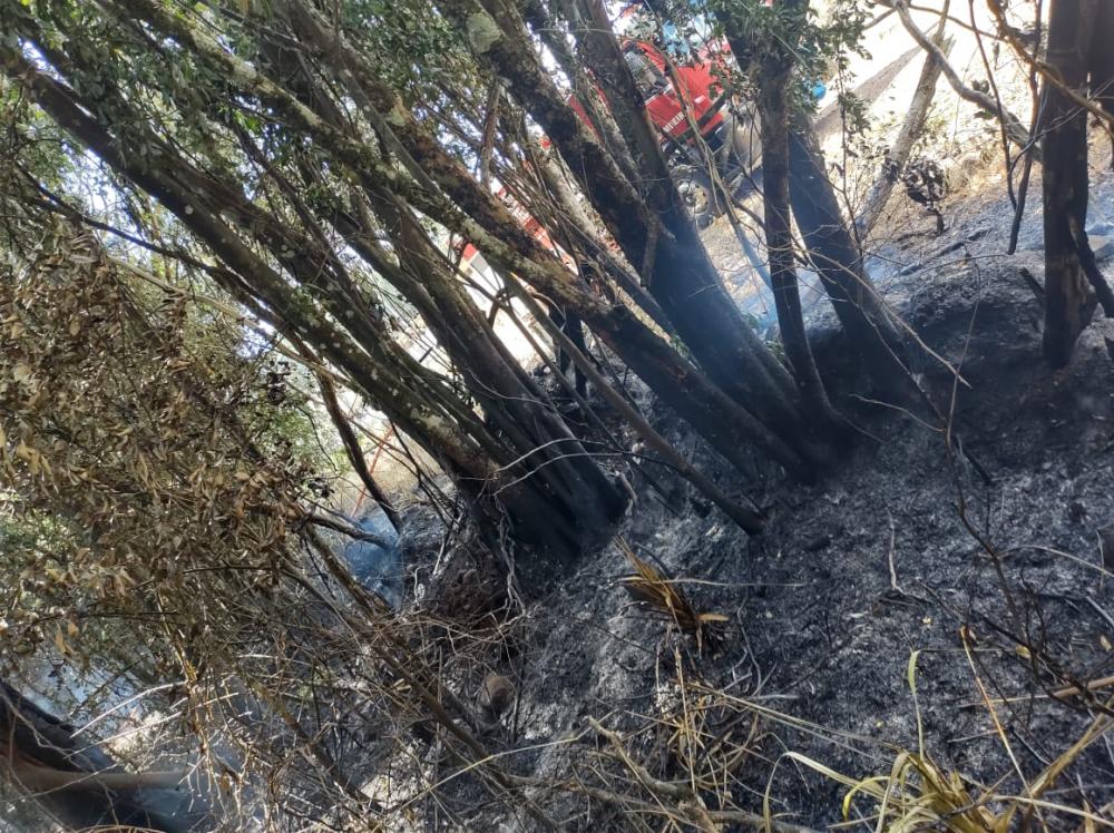 Bombeiros estão trabalhando no combate ao incêndio (Foto: Bombeiros Voluntários)
