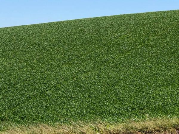 Montante teve alta de 32% na comparação com o mesmo período do ano anterior (Foto: Diones Roberto Becker)
