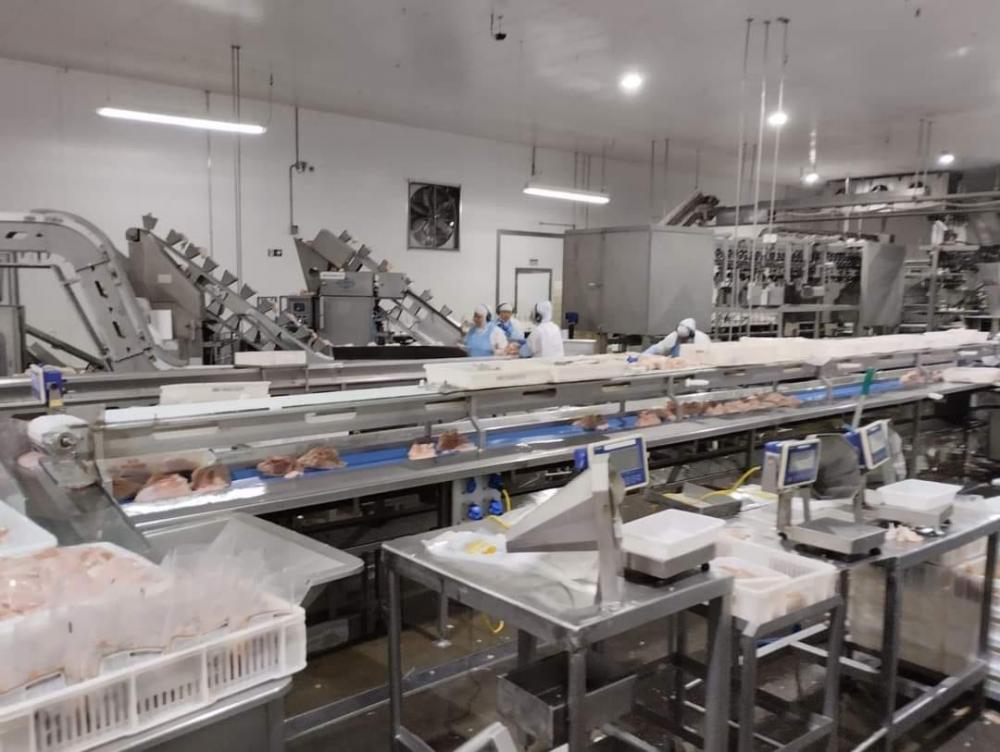 Empresa Mais Frango assume frigorífico em Nova Erechim e emprega 350 funcionários