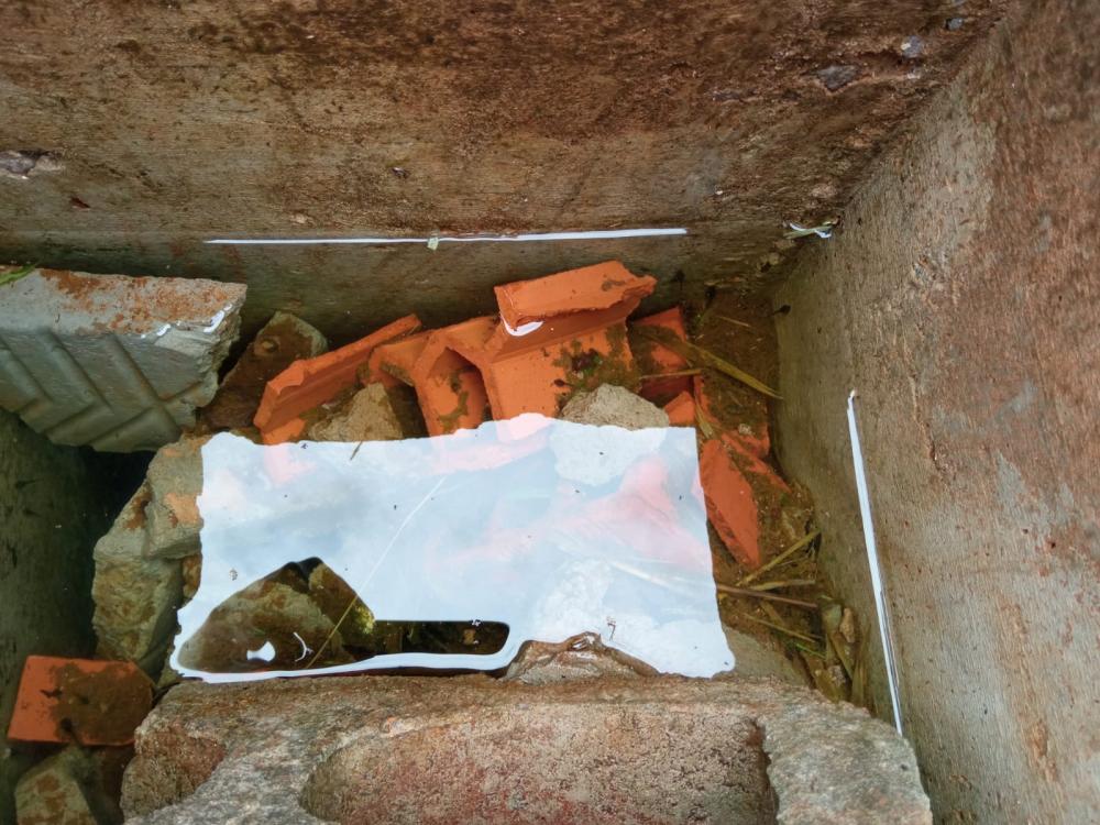 O mosquito se prolifera em áreas com água parada (Foto: Prefeitura de Tenente Portela) 