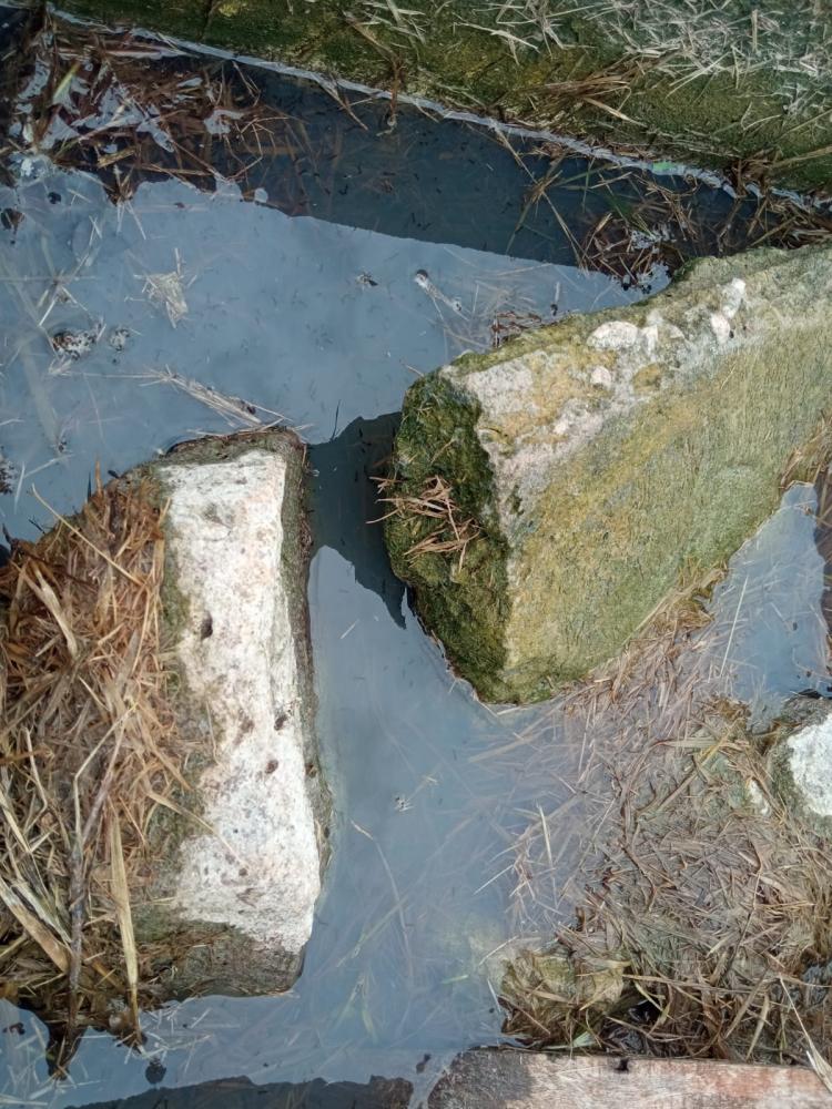 Locais com água parada tornam-se criadouros do mosquito transmissor da doença (Foto: Prefeitura de Tenente Portela)