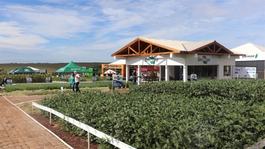 Um dos espaços mais procurados pelo público da 8ª ExpoAgro Cotricampo é o pavilhão da agricultura familiar. (Foto: Divulgação)